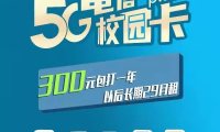 电信包年卡300元包一年，每月80G流量+500分钟