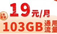 可选号,全国发货!联通阳春卡19元包103G通用流量+100分钟通话