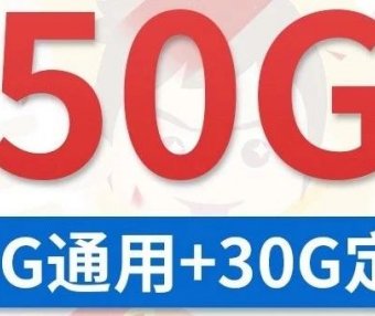 广东移动鼎豪卡29元包150G+0.19元/分钟通话