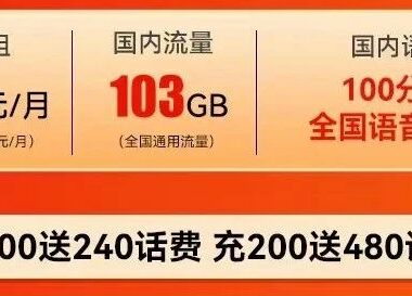 可开副卡,联通青云卡33元/月103GB通用流量+100分钟通话(长期流量)