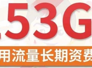 可选号长期套餐!联通过江卡29月租包153g通用流量+100分钟通话,京东包邮到家!